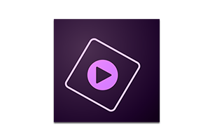 Adobe Premiere Elements 2023 for Win PR 简化版 中文版