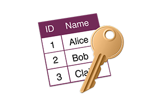 MDB ACCDB Viewer for Mac (MDB文件编辑器)v2.2.7