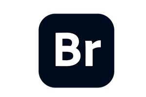 Adobe Bridge 2022 for mac 提升大量创意素材的效率