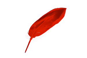 iCalamus for Mac v2.28 版面设计软件 中文版下载