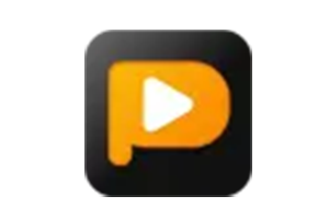 PPTube Pro for win v10.9.2 视频下载器中文版本