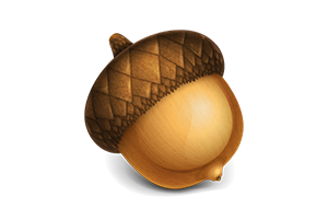 Acorn for Mac v7.4.5 图像编辑器中文版下载
