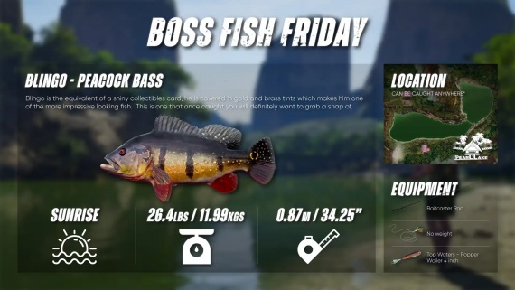 捕获物:鲤鱼和大鱼(The Catch: Carp & Coarse)