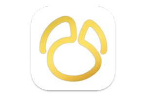 Navicat Premium 2024 for Mac 专业的数据库管理工具 中文版