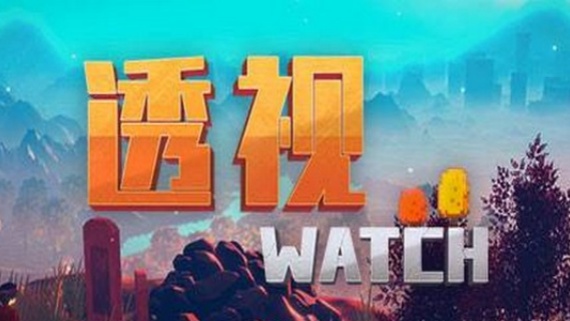 透视/WATCH（正式版）