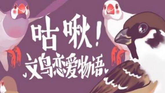 咕啾！文鸟恋爱物语